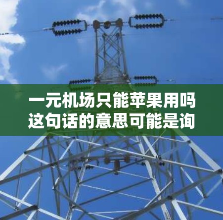 一元机场只能苹果用吗这句话的意思可能是询问在价格为100元的机场使用券是否只能用于苹果的设备或服务。以下是一些可能的解释和分析