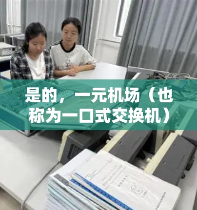 是的，一元机场（也称为一口式交换机）能够支持多个设备的连接，具体取决于交换机的型号和配置。以下是一些详细信息