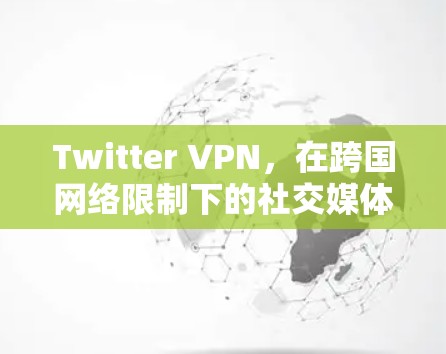 Twitter VPN，在跨国网络限制下的社交媒体解决方案