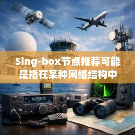 Sing-box节点推荐可能是指在某种网络结构中推荐特定类型的节点。以下是一些可能的解释和推荐方法，假设你是在某个P2P网络、分布式系统或其他网络结构中寻找节点
