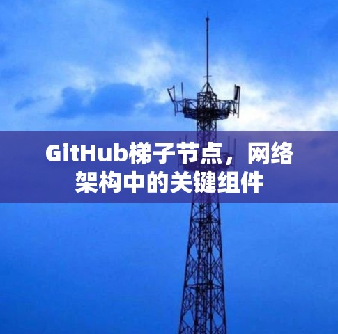 GitHub梯子节点，网络架构中的关键组件