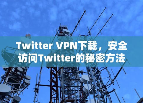 Twitter VPN下载，安全访问Twitter的秘密方法
