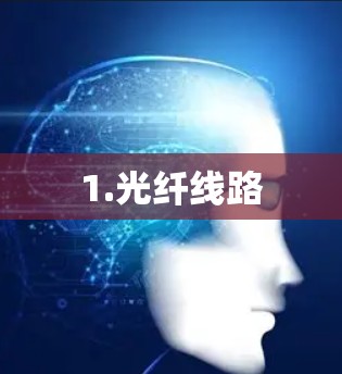 1.光纤线路