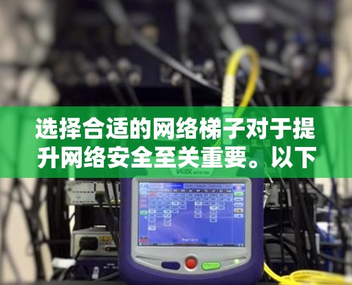 选择合适的网络梯子对于提升网络安全至关重要。以下是针对不同需求的网络梯子推荐
